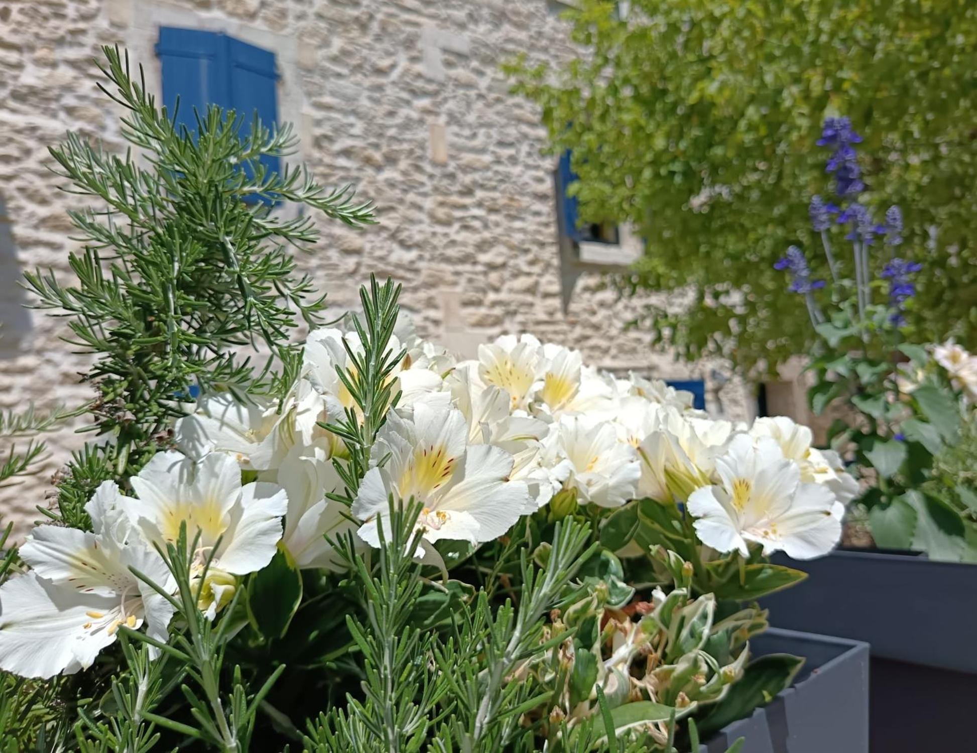 Namaste Home, Votre Havre De Paix A St Remy ! Parking Wifi Inclus Saint-Rémy-de-Provence Eksteriør bilde