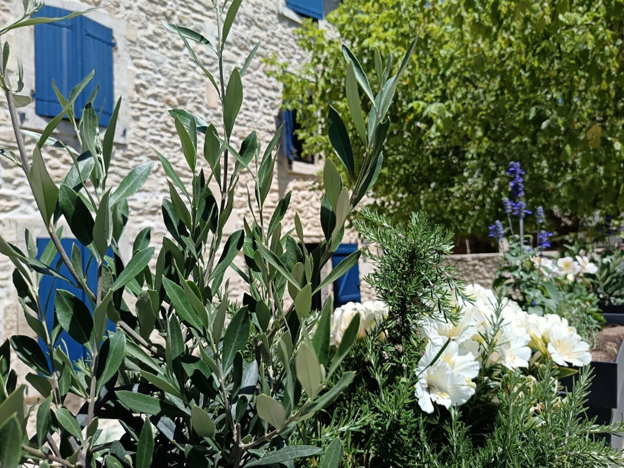 Namaste Home, Votre Havre De Paix A St Remy ! Parking Wifi Inclus Saint-Rémy-de-Provence Eksteriør bilde